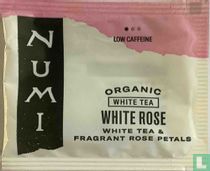 White Rose 