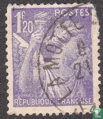 Iris
