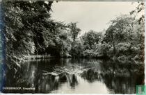 Oldeberkoop, Koepelbos