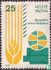 International symposium on wheat