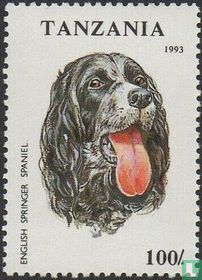 Honden   kopen