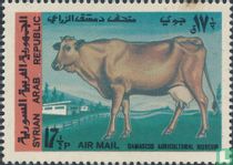 8 years agricultural museum