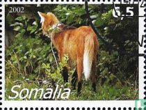Renard