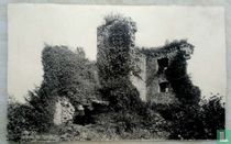 Dourbes.ruine de Haute-Roche.