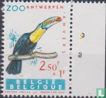 Zoo von Antwerpen kaufen