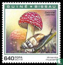 Champignons