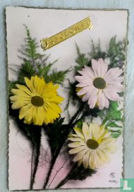 Trio de fleurs+sparagus.