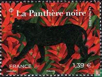 The Black Panther