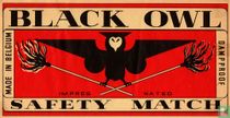 Black Owl