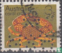 Zeedieren en mineralen