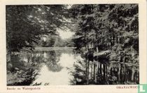 Bosch- en Watergezicht Oranjewoud