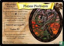 Platano Picchiatore