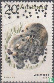 Mammals
