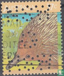Igel