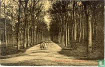 Dominé-Singel. Oranjewoud.