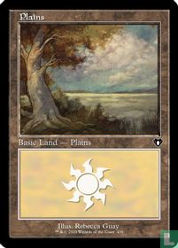 Plains