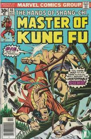 Master of Kung Fu 46