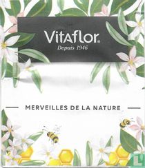 Infusion Sommeil