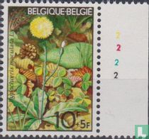 Flora and fauna for sale