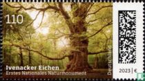 Ivenacker Eichen
