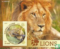 Lions
