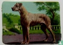 het Deensch Dog
