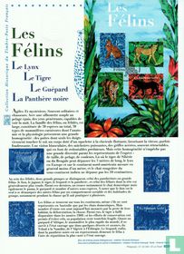 The felines