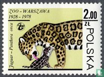 Warschauer Zoo kaufen