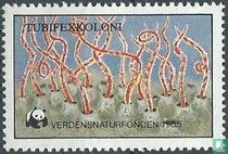 Bevar vore vandløb (Bescherm onze waterlopen)