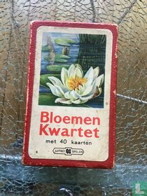 Bloemen Kwartet met 40 kaarten Jumbo spelen