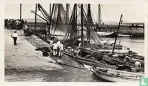 Arrivée des Bateaux de Pêche