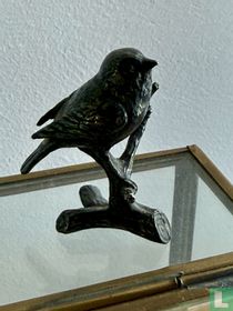 bird