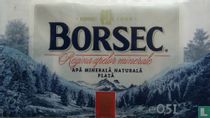 Borsec Plată
