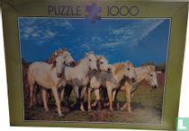 Wilde paarden
