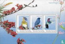 Vogels Sint Eustatius