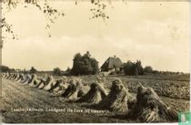 Landelijk schoon. Landgoed De Eese bij Steenwijk