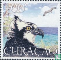 Osprey