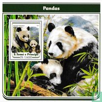 Giant panda