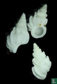 Epitonium savignyi