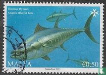 Fauna of the Mediterranean