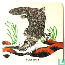 Platypus