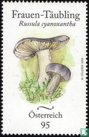 Russule charbonnière