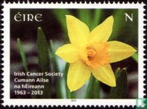 50 Jahre Irish Cancer Society