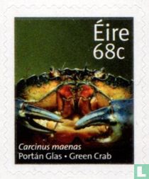 Crabe de plage acheter