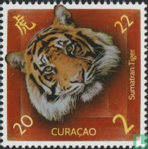 Year of the Tiger