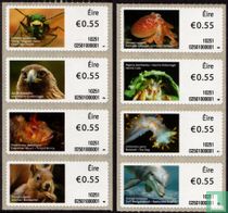 Animals