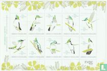 Colibri des Antilles