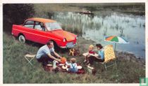 DAF de Nederlandse personenauto