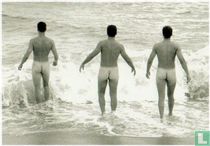 Water Babies