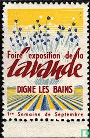 Foire exposition de la lavande